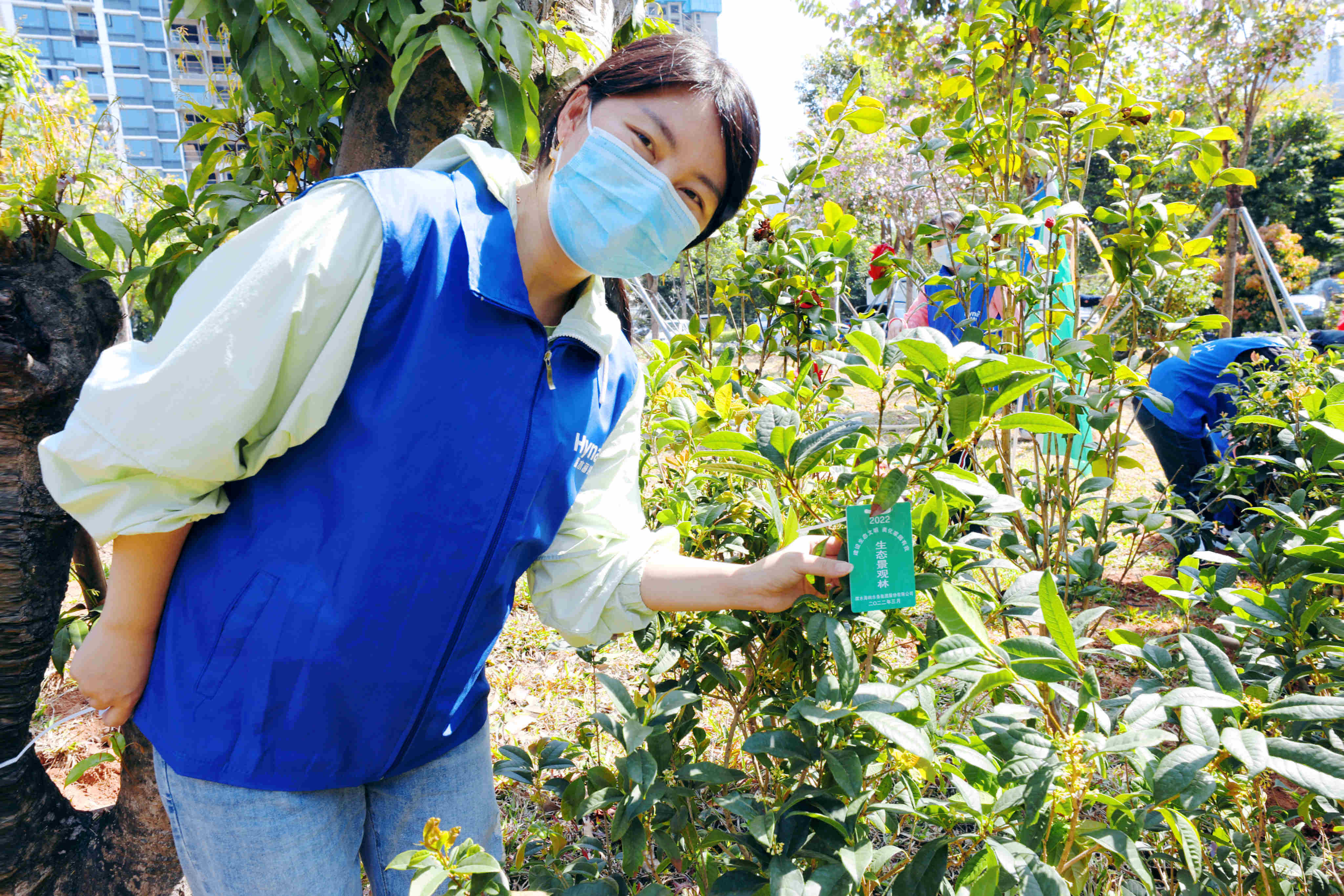 凯时登录入口(中国游)官方网站